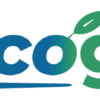 LOGO VIVIECOGREEN
